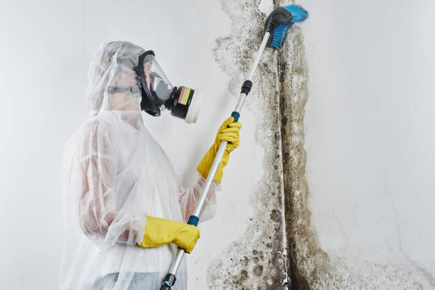 Crawl Space Mold Removal in Chinook, MT