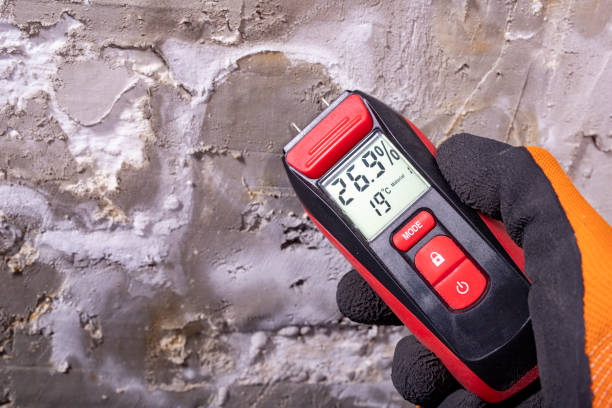 Best Mold Testing  in Chinook, MT