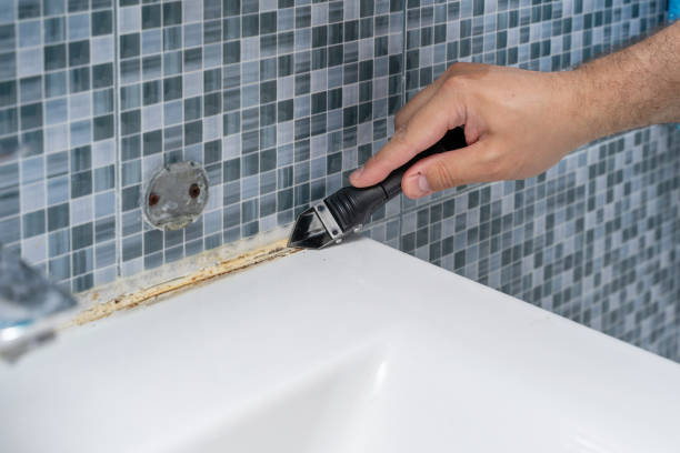 Best Black Mold Removal  in Chinook, MT