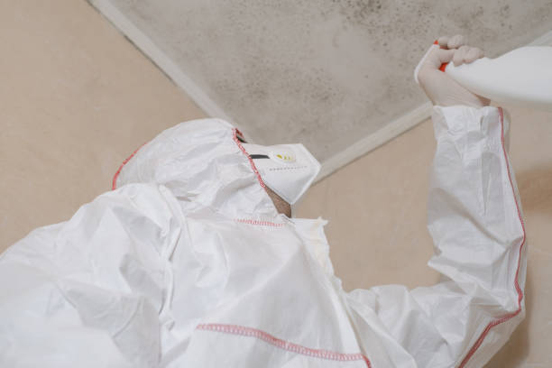 Best Mold Remediation Services  in Chinook, MT